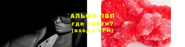 крисы Магадан