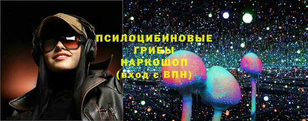 ешки Михайлов