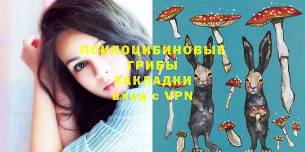 винт Мегион