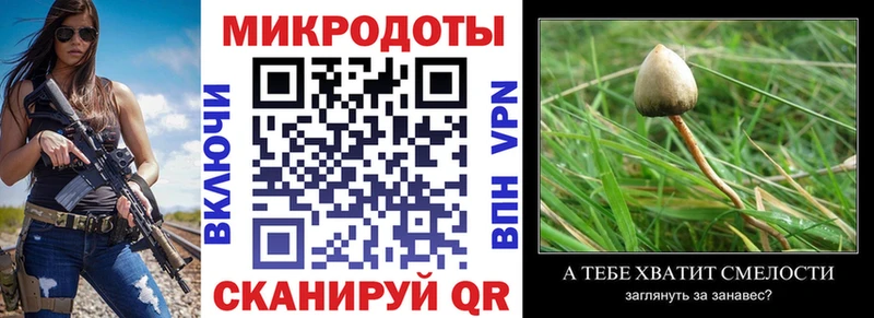 Галлюциногенные грибы Cubensis  Сосновый Бор 