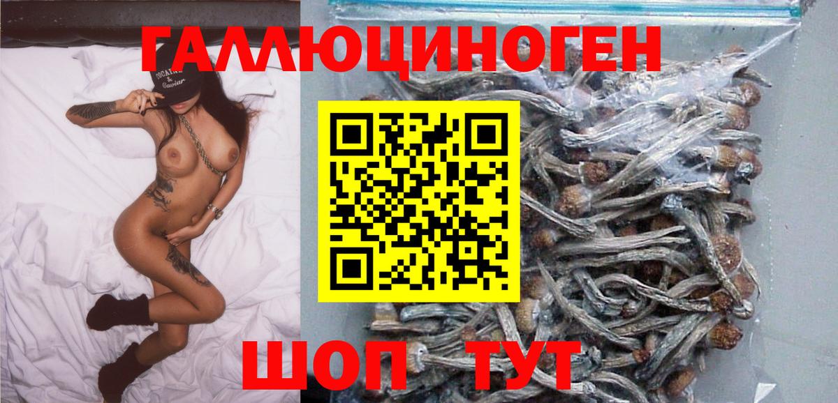 Псилоцибиновые грибы мицелий  Галлюциногенные грибы Psilocybine cubensis  Сосновый Бор 