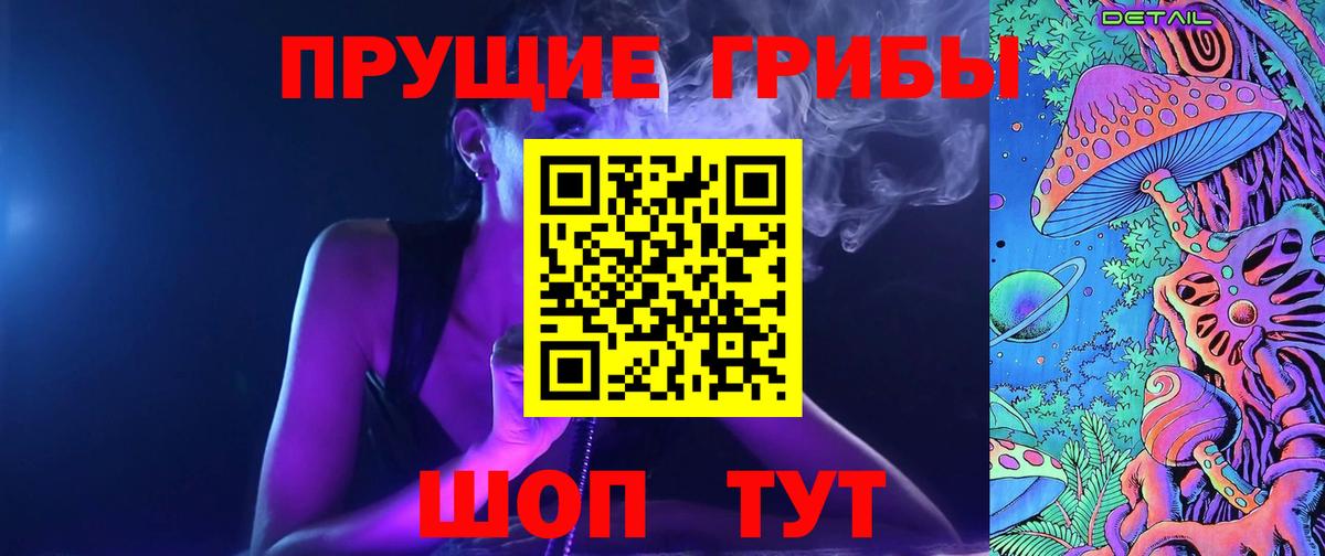 Галлюциногенные грибы Psilocybe Сосновый Бор